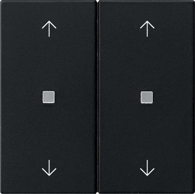 Gira BEDE WIP 2V CTRLV S55 ZWM