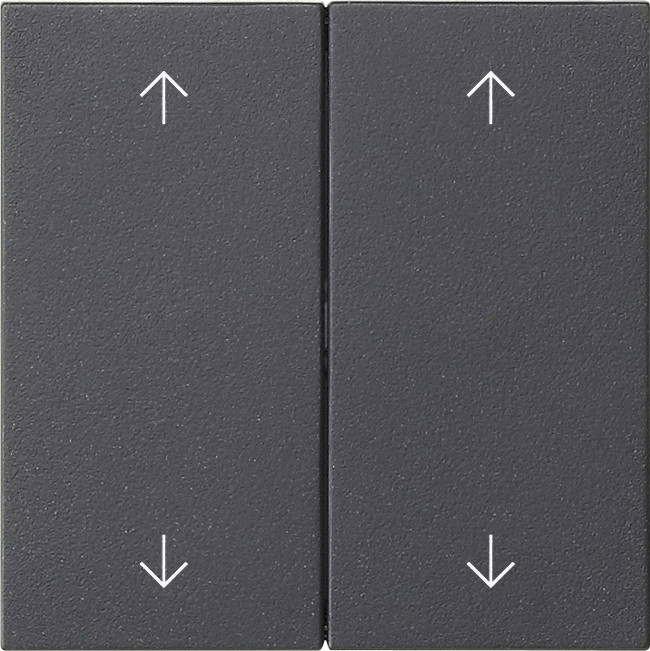 Gira WIP 2V CTRLV S55 ANT 8728