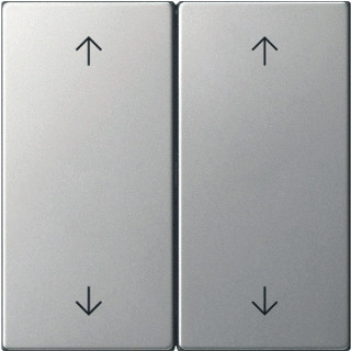 Gira WIP 2V CTRLV S55 EDEL7600