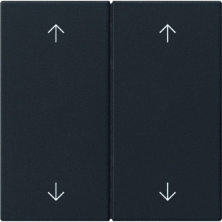 Gira WIP 2V CTRLV S55 ZWM 7005