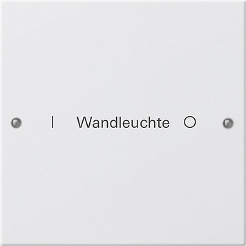 Gira System 55 Across programs Wippenset 1-V beschr. system 55 Z.wit(gel.)