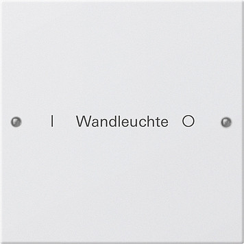Gira System 55 Across programs Wippenset 1-V beschr. system 55 Z.wit m(gel.)
