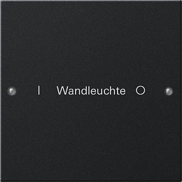 Gira System 55 Across programs Wippenset 1-V beschr. system 55 zwart m(gel.)