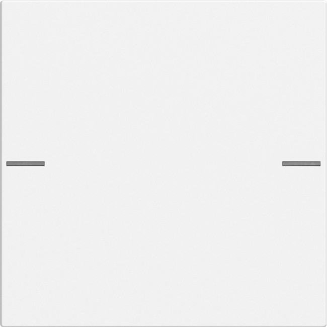 Gira WIP 1V TASTSENS S55 ZWM