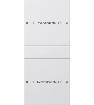 Gira System 55 Across programs Wippenset 2-V (1+1) beschr. system 55 Z.wit m(gel.)