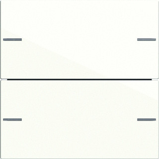 Gira WIP 2V TASTSENS S55 CWG