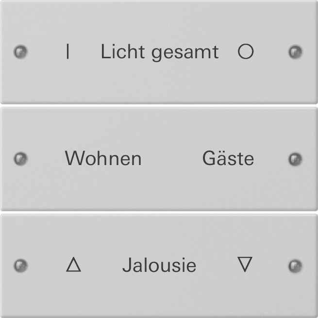 Gira System 55 Across programs Wippenset 3-V beschr. system 55 gris m(gel.)