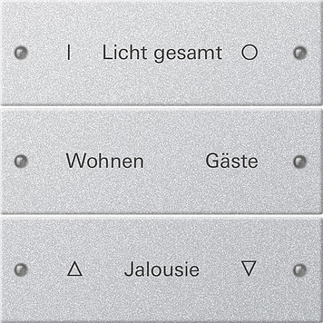 Gira System 55 Across programs Wippenset 3-V beschr. system 55 KL.alum.(gel.)