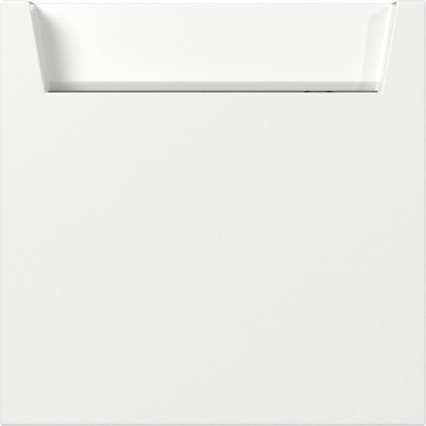 Gira Gira F100 Hotel-Card maakc. + N-klem F100 Z.wit