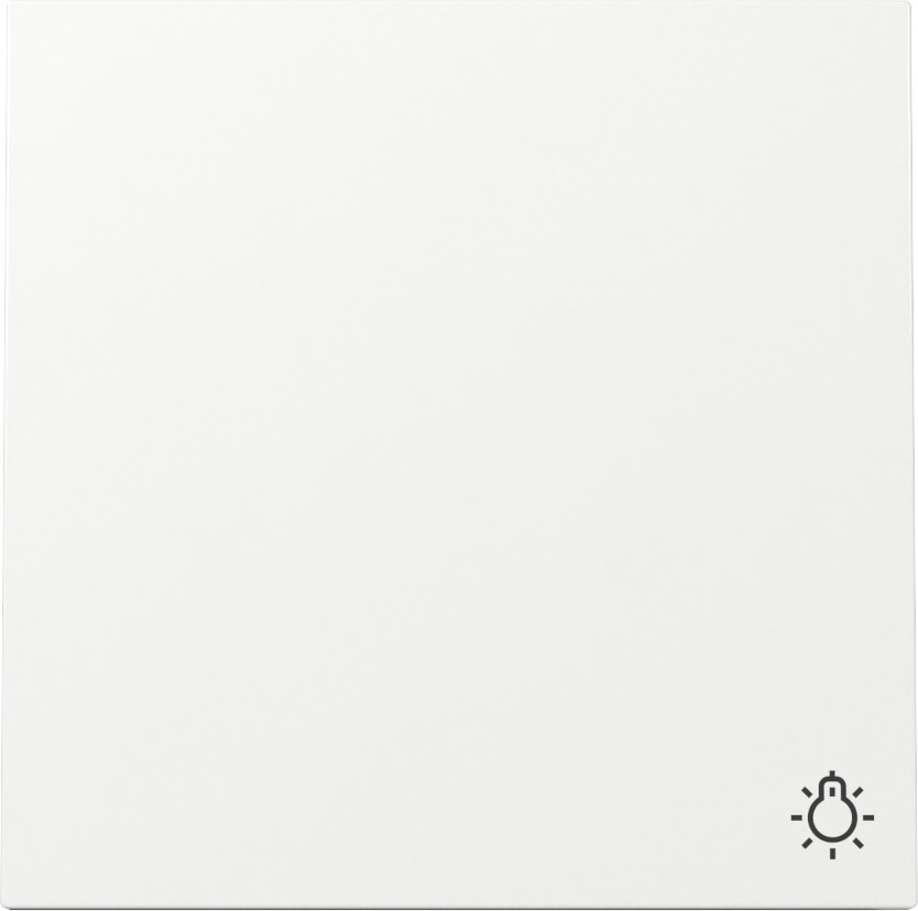 Gira Gira F100 Wip SYM.licht F100 Z.wit