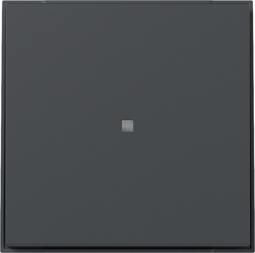 Gira TX_44 (SW IB) Wip Recht CTRL.V. TX_44 antraciet