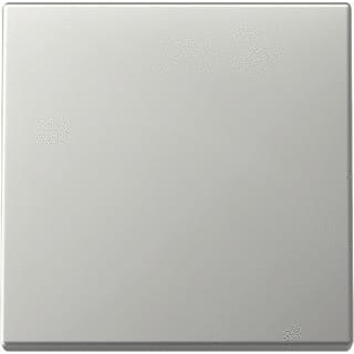 Gira WIP SYSTEM 55 EDELSTAAL