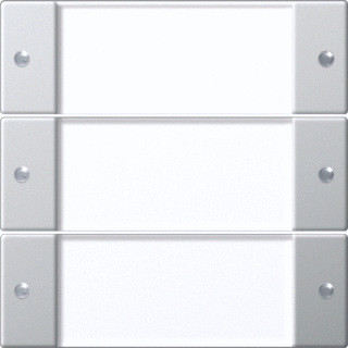 Gira WIPSET 3V TK SYST55 TRNSP