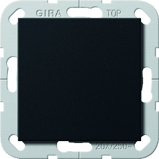 Gira WIPSCH BS 20AX 2P ZMT
