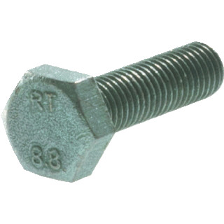 Gouda Holland TAPBOUT 99795206    DS100