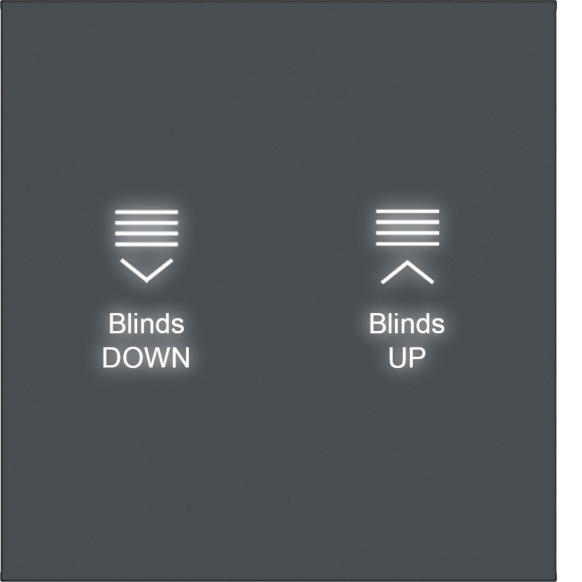 Hager A.x/C.x Afdekking KNX drukknop, 1-V., met achtergrondverl., A.X/C.X, antraciet