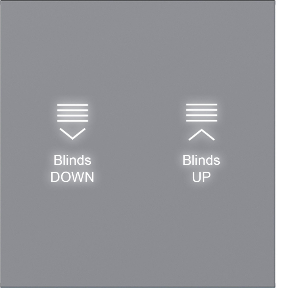Hager A.x/C.x Afdekking KNX drukknop, 1-V., met achtergrondverl., A.X/C.X, titaan