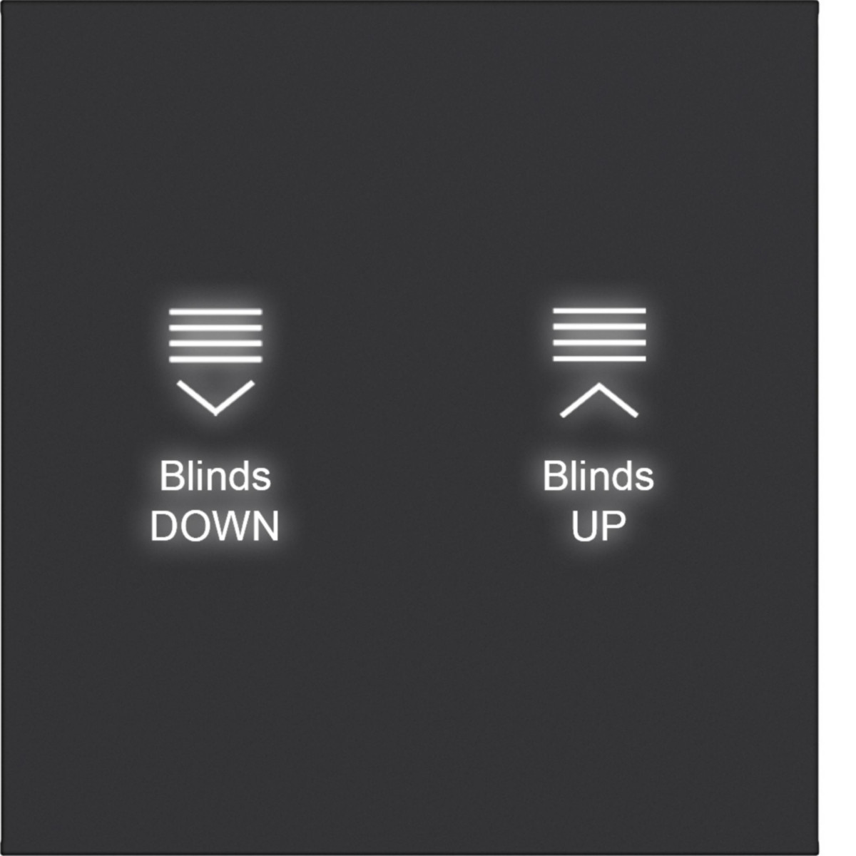 Hager A.x/C.x Afdekking KNX taster, 1-V., met achtergrondverl., A.X/C.X, zwart mat