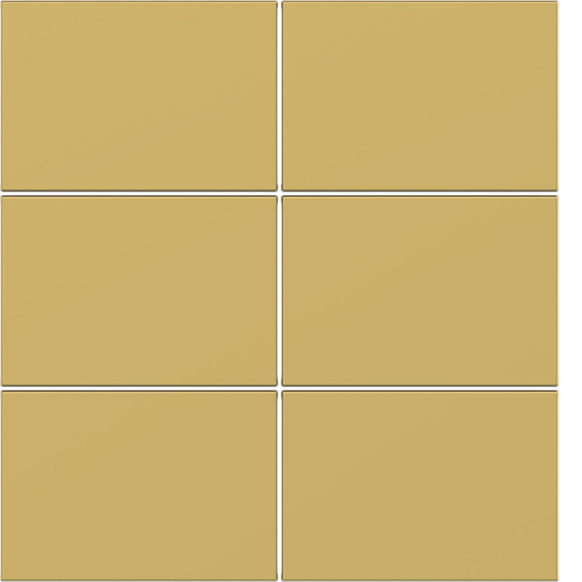 Hager A.x/C.x Afdekking KNX taster, 6-voudig, A.X/C.X, gold, metalic