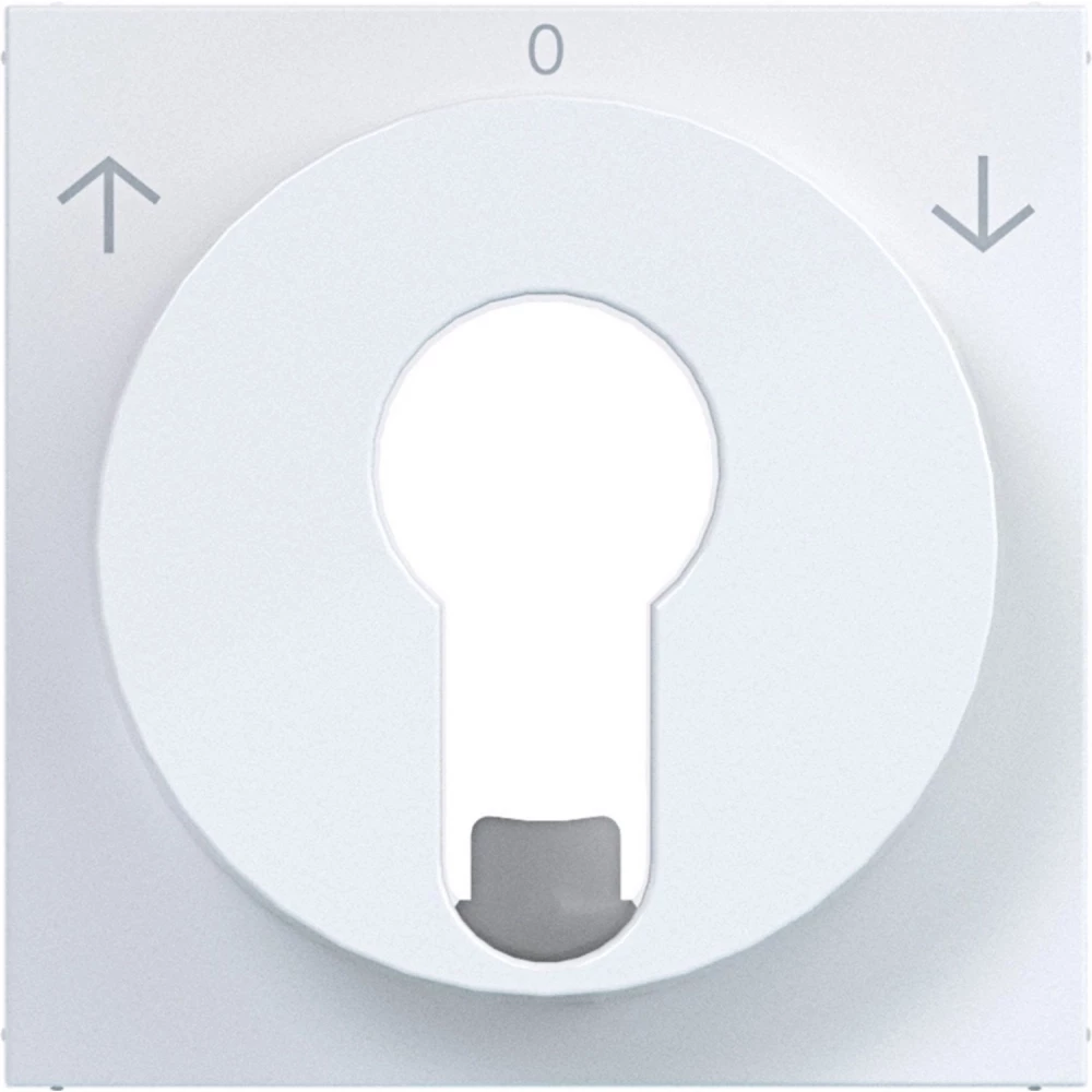 Hager A.x/C.x Centr.PL. jaloezieschak./impulsdr. din-cil. pijlsymb. A.X/C.X wit GLZ.