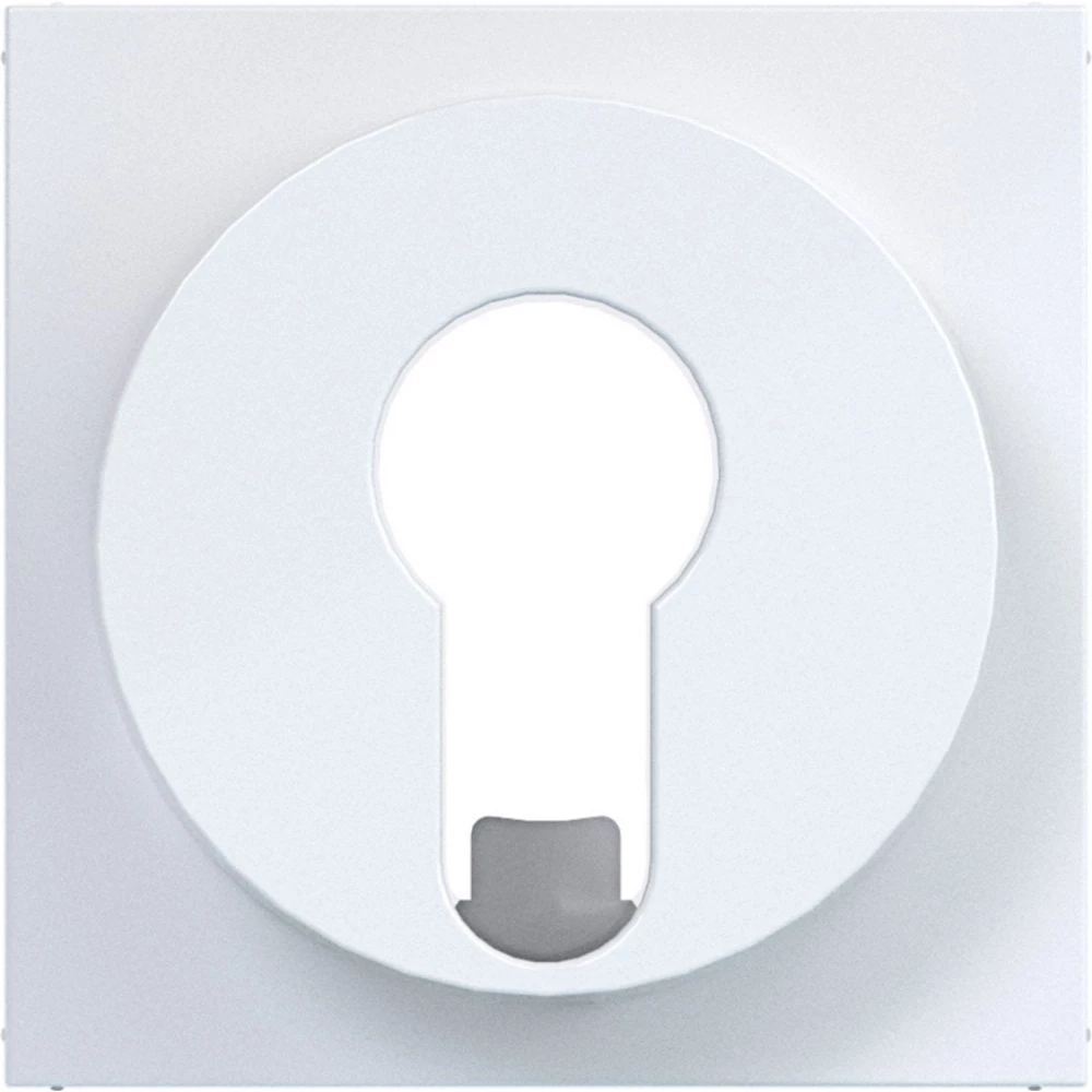 Hager A.x/C.x Centr.PL. jaloezieschak./impulsdr. din-cilinder A.X/C.X wit GLZ.