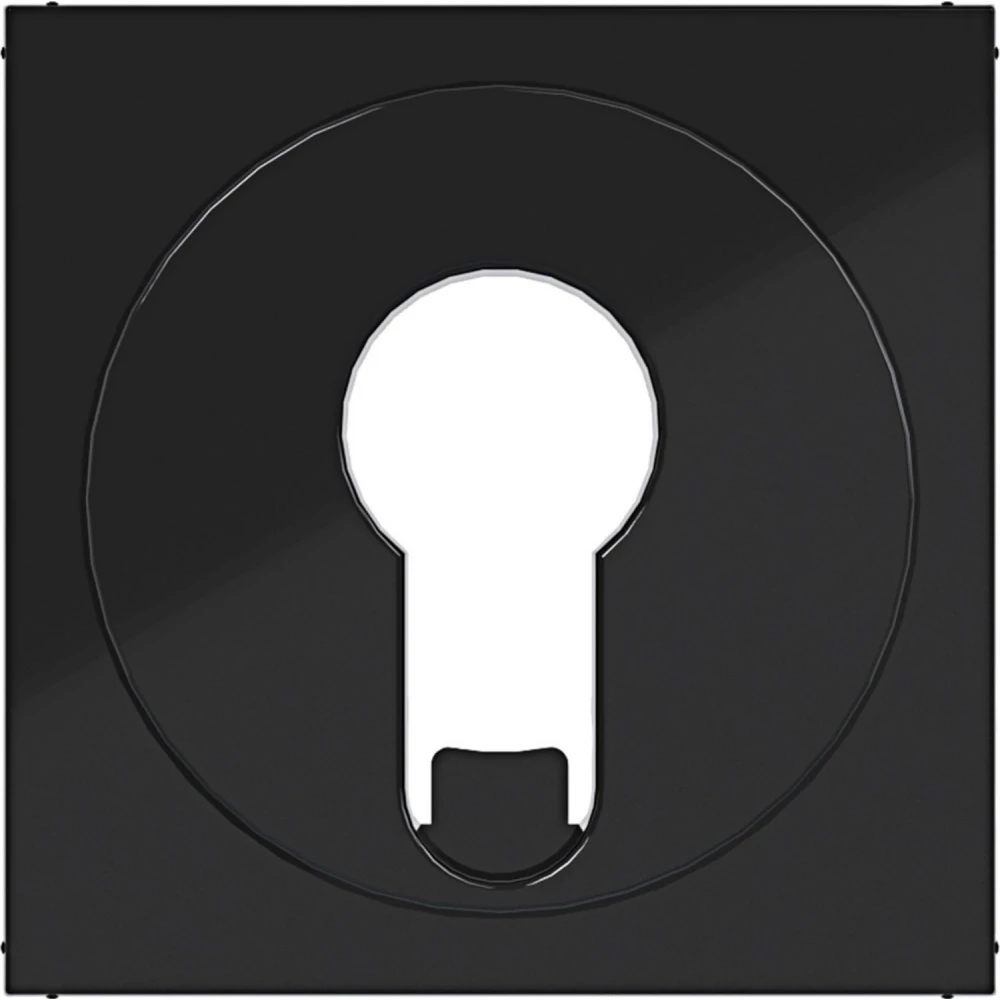 Hager A.x/C.x Centr.PL. jaloezieschak./impulsdr. din-cilinder A.X/C.X ZW. GL.