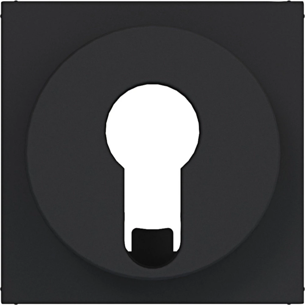 Hager A.x/C.x Centr.PL. jaloezieschak./impulsdr. din-cilinder A.X/C.X ZW. mat