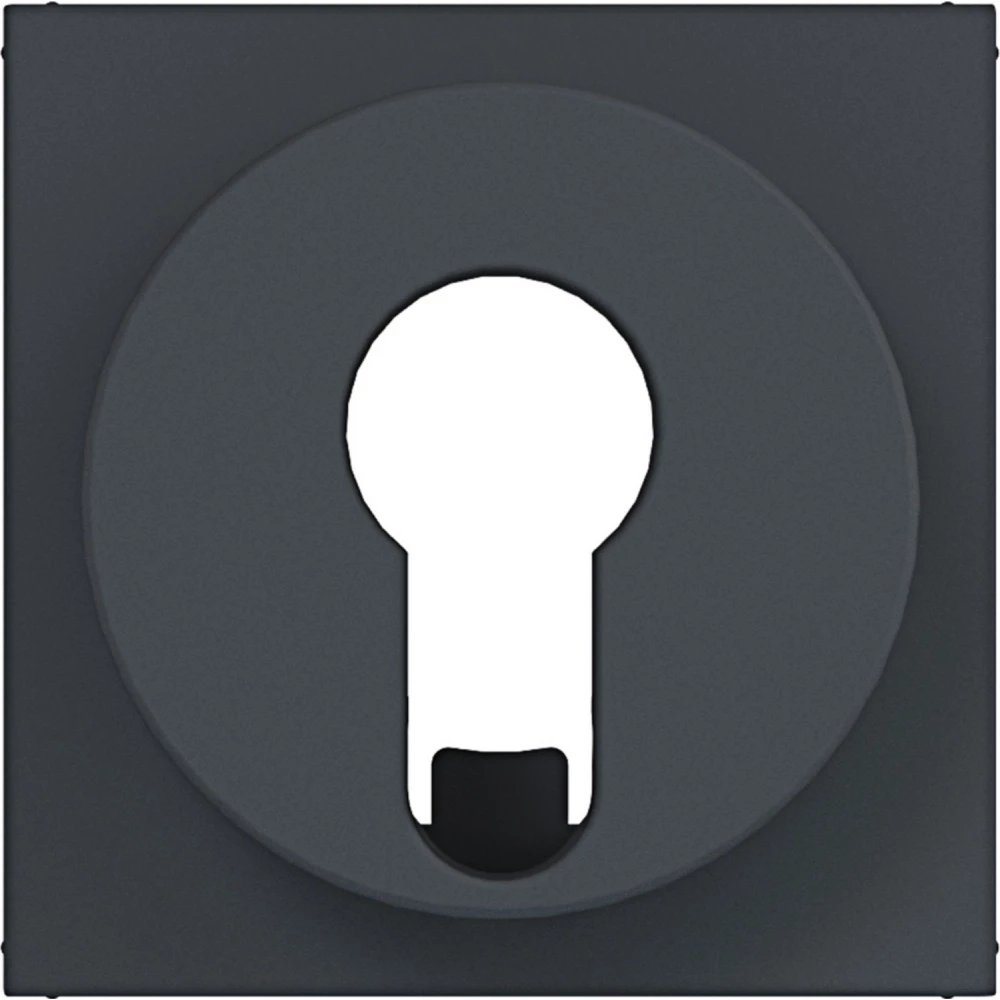 Hager A.x/C.x Centr.PL. jaloezieschak./impulsdrukker voor din-cilinder A.X/C.X antr.