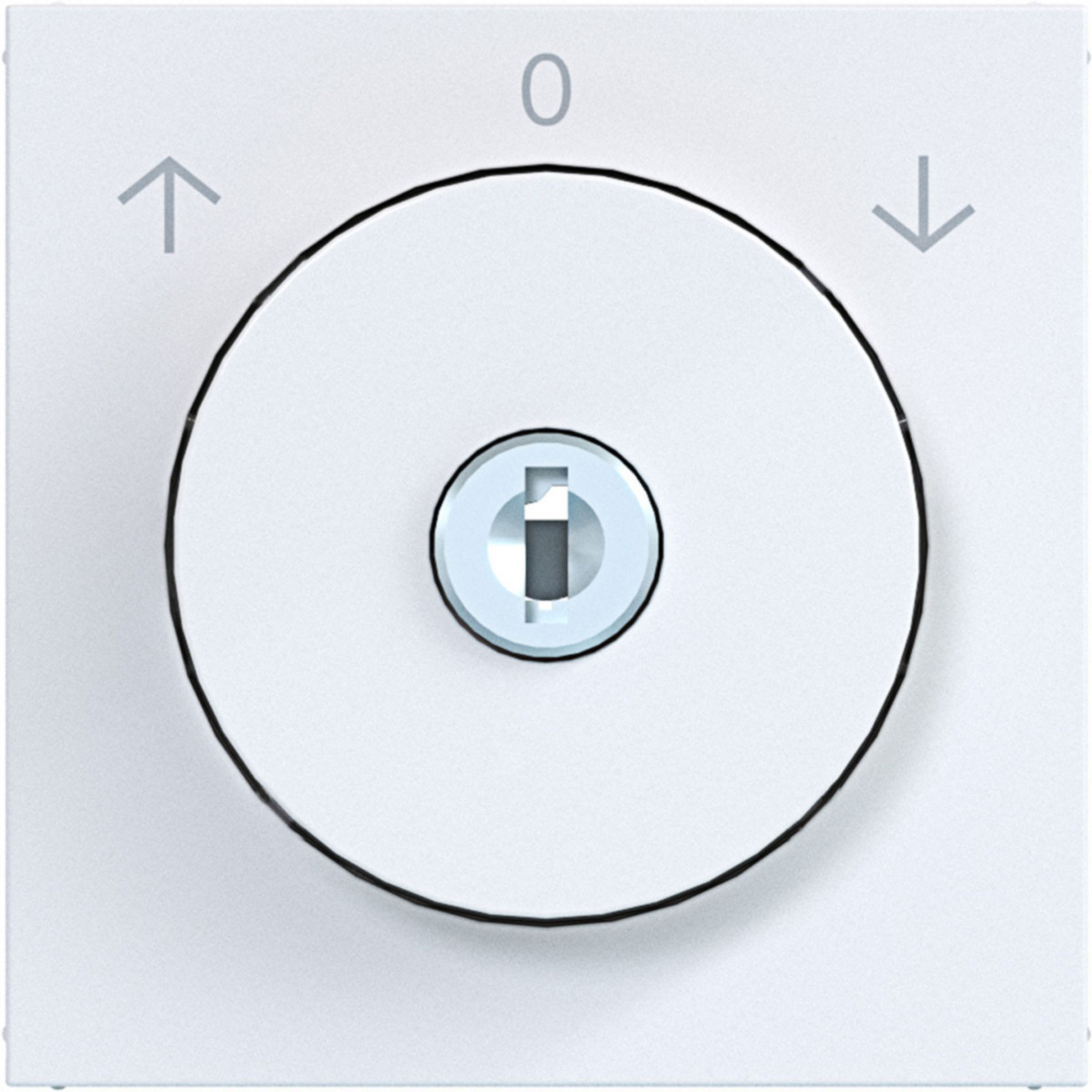 Hager A.x/C.x Centraalpl Jaloezieschakelaar sleutel verw. 0-positie A.X/C.X wit GL.