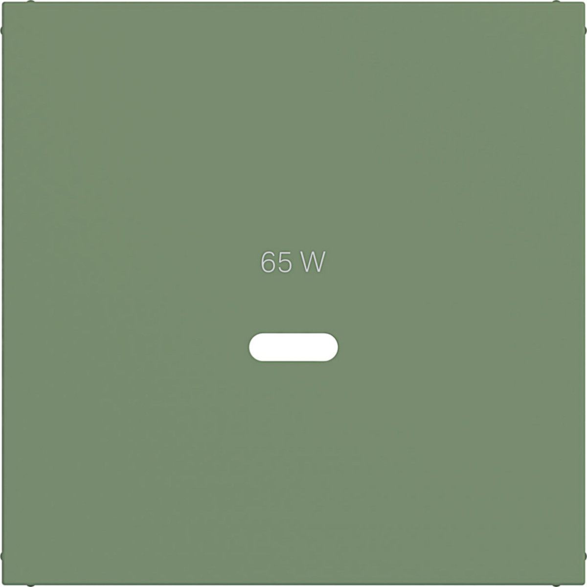 Hager A.x/C.x Centraalplaat Voor usb-C-contactdoos, A.X/C.X, aloe, mat
