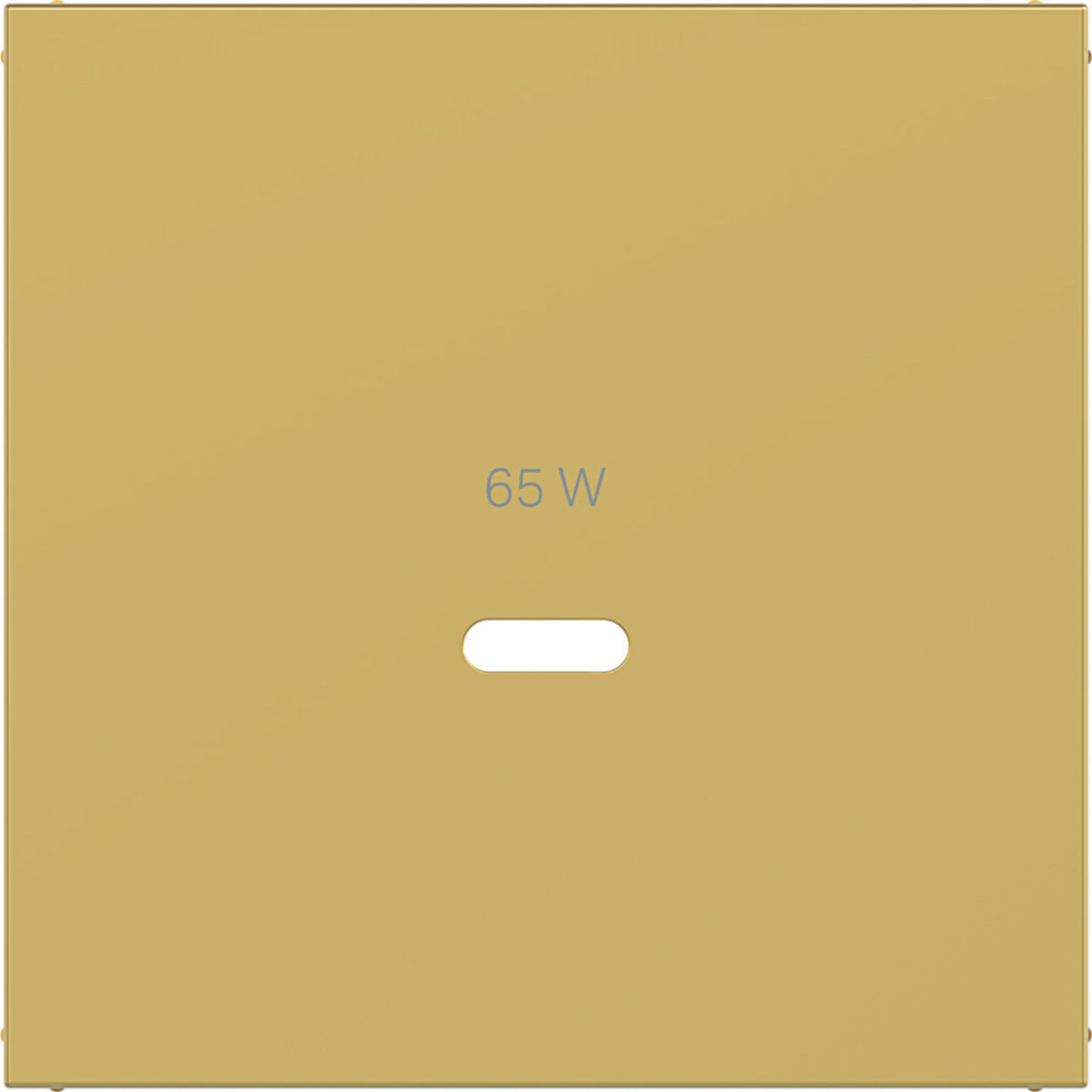 Hager A.x/C.x Centraalplaat Voor usb-C-contactdoos, A.X/C.X, gold, metalic