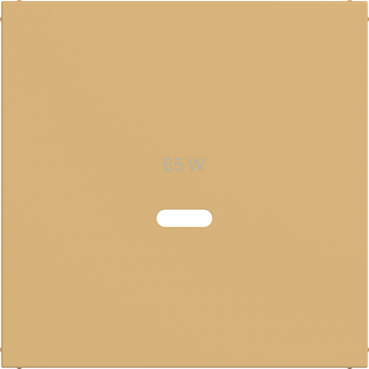 Hager A.x/C.x Centraalplaat Voor usb-C-contactdoos, A.X/C.X, hazel, mat