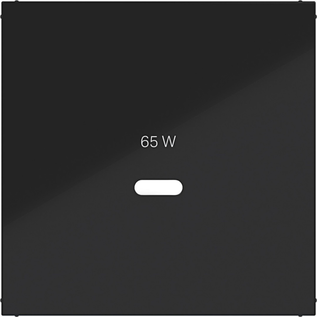 Hager A.x/C.x Centraalplaat Voor usb-C-contactdoos, A.X/C.X, nachtzwart glanzend
