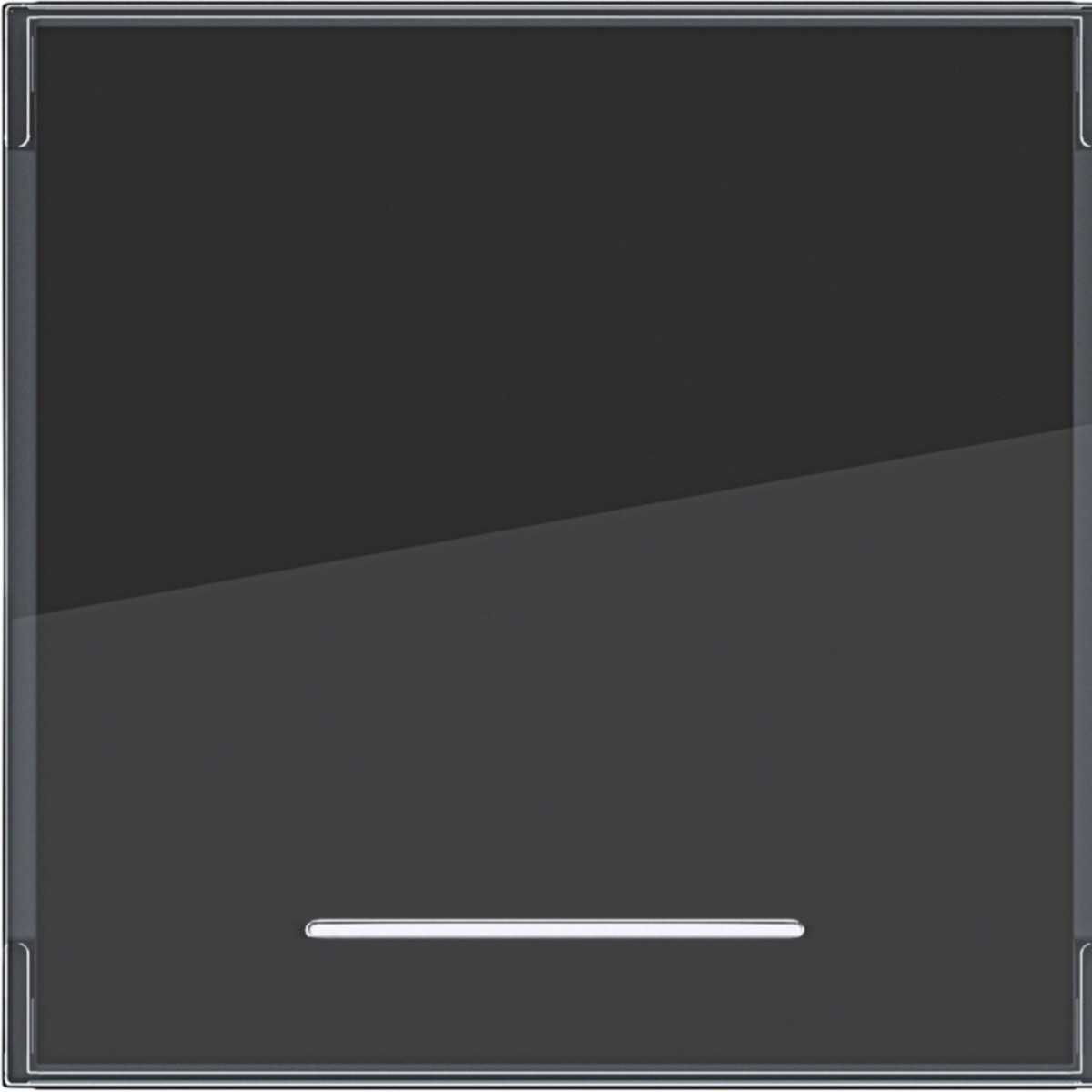 Hager A.x/C.x Wip 1-voudig, groot tekstveld, heldere lens, A.X/C.X, antraciet