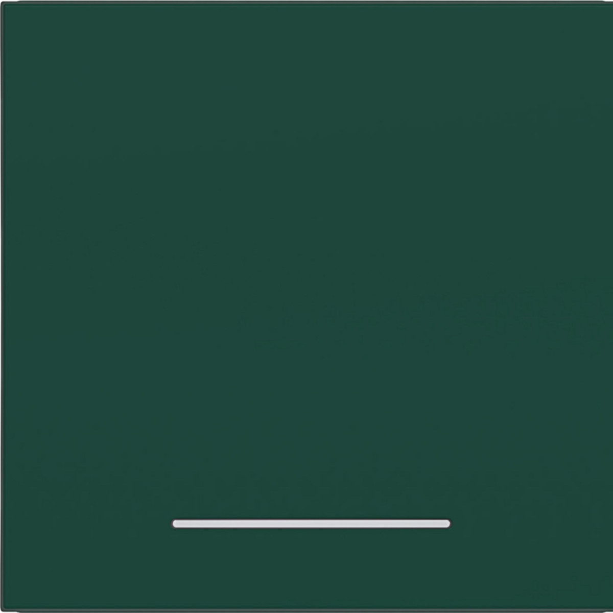 Hager A.x/C.x Wip 1-voudig, heldere lens, A.X/C.X, jade, halfglanzend