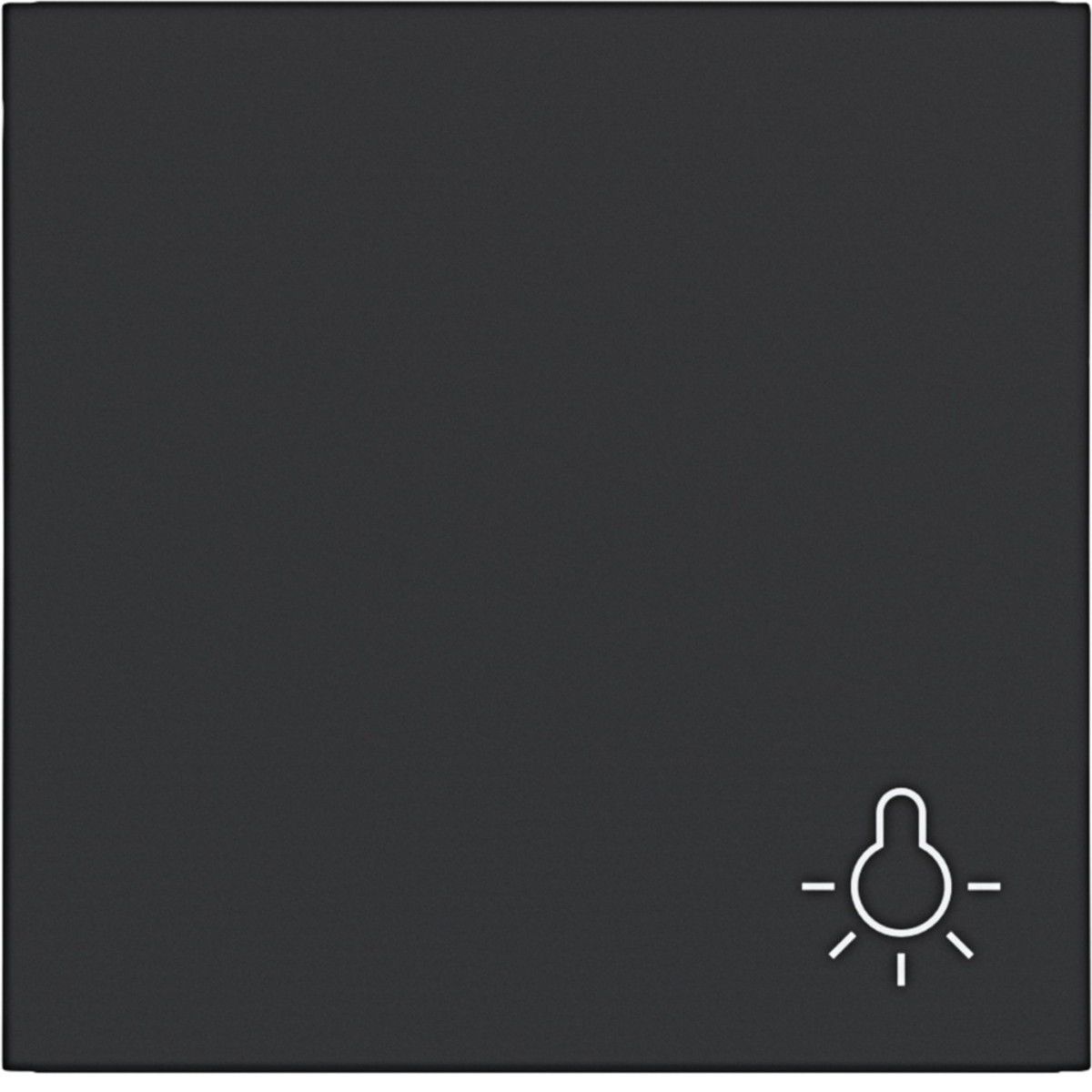 Hager A.x/C.x Wip 1-voudig, opdruk lichtsymb., A.X/C.X, nachtzwart mat