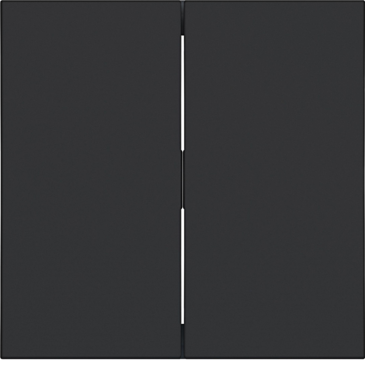 Hager A.x/C.x Wip 2-voudig, A.X/C.X, nachtzwart mat