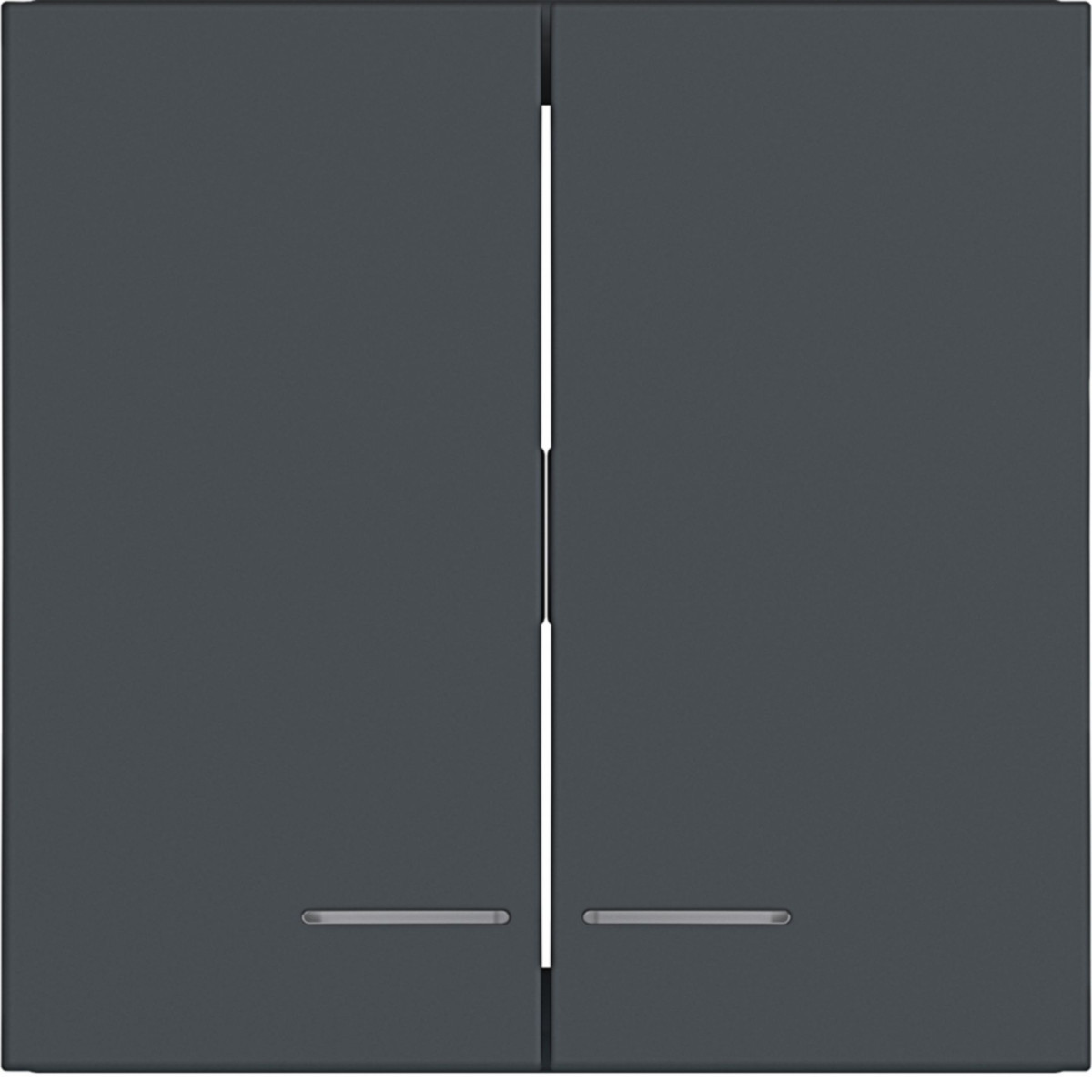 Hager A.x/C.x Wip 2-voudig, heldere lens, A.X/C.X, antraciet