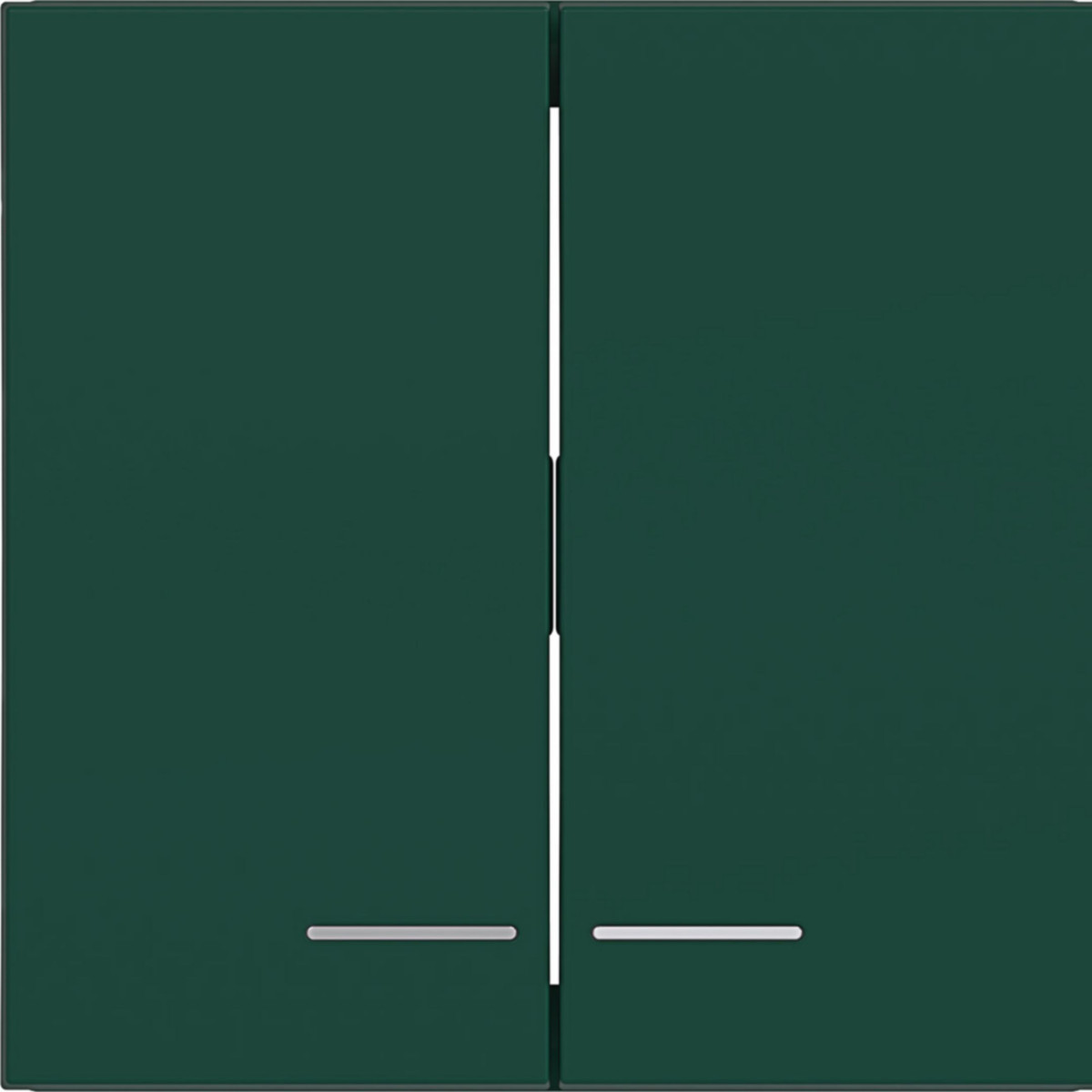 Hager A.x/C.x Wip 2-voudig, heldere lens, A.X/C.X, jade, halfglanzend
