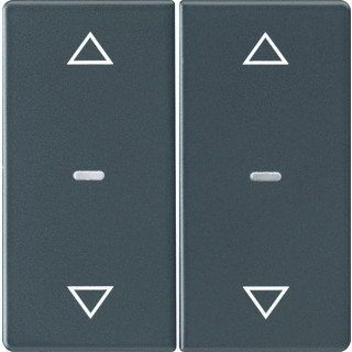 Berker Q.1/Q.3 tweedelige wip aan-/uit-schakelaar antraciet