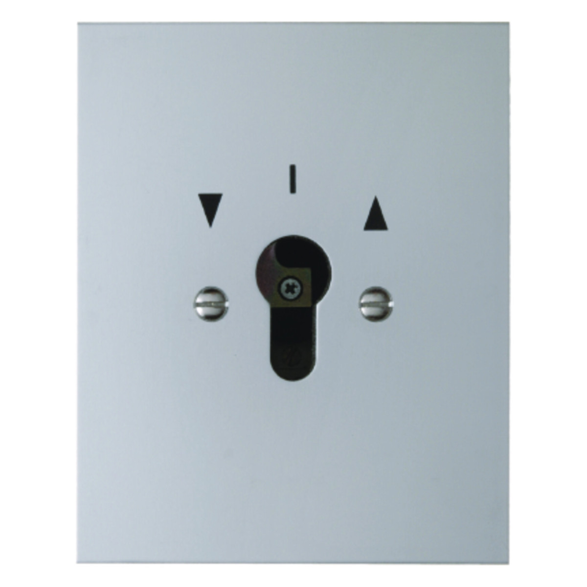 Hager Basiselementen Jaloezieschakelaar 2-polig voor sleutelcilinder, inbouw, gegoten ip44