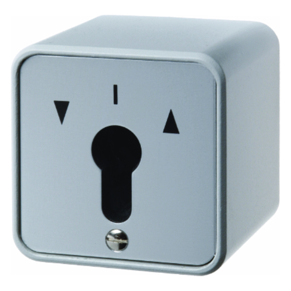 Hager Basiselementen Jaloezieschakelaar 2-polig voor sleutelcilinder, opbouw, gegoten ip44