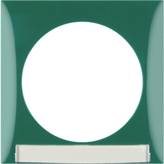 Berker Integro afdekraam 1V horizontaal en verticaal groen ip20