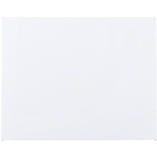 Berker Onderdeel/centraalplaat blinddeksel centraalplaat kunststof wit