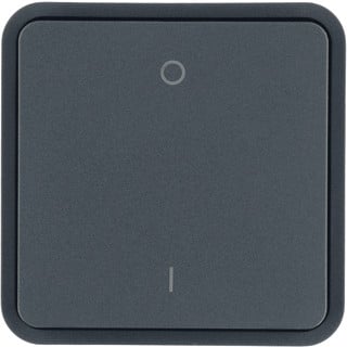 Berker W1 enkele wip aan-/uit-schakelaar grijs