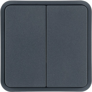 Berker W1 tweedelige wip aan-/uit-schakelaar grijs