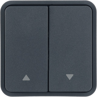 Berker W1 tweedelige wip aan-/uit-schakelaar grijs