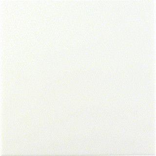 Berker S.1/B.3/B.7 onderdeel/centraalplaat blinddeksel centraalplaat kunststof wit