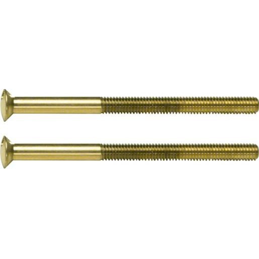 Berker Tweegaatsschroeven 2XM3,5x50 MM goud TS