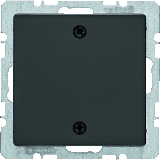 Berker Q.1 onderdeel/centraalplaat blinddeksel basiselement met centrale afdekplaat antraciet